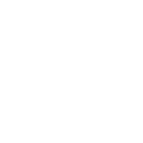 ottica_pietrese